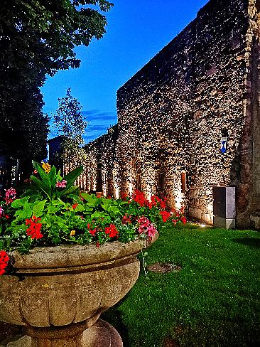 Welttag 2024 WrNeustadt